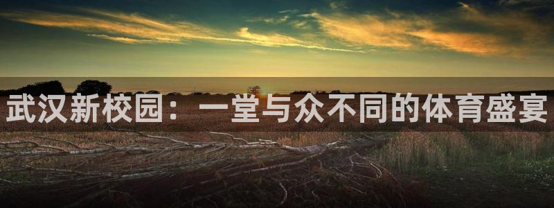 vsport体育官网下载招商电话号码是多少啊：武汉新