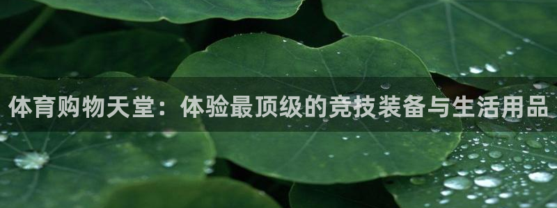 vsport体育官网下载平台：体育购物天堂：体验最顶