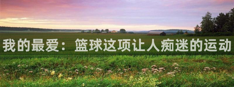vsport体育官网下载招商：我的最爱：篮球这项让人