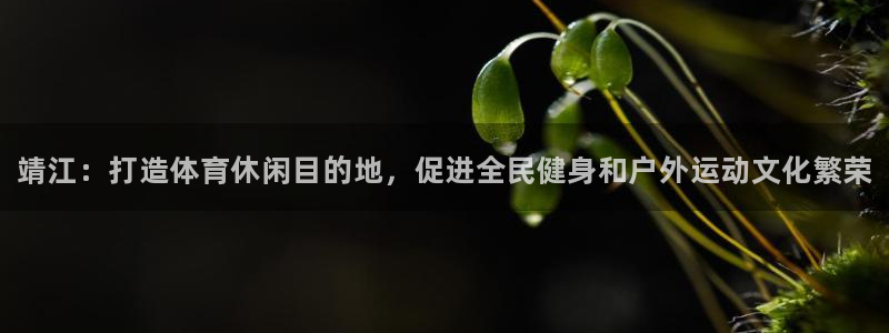 vsport体育官方正版app集团官网首页：靖江：打