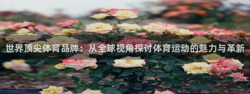 vsport体育官方正版app官方：世界顶尖体育品牌：从全球