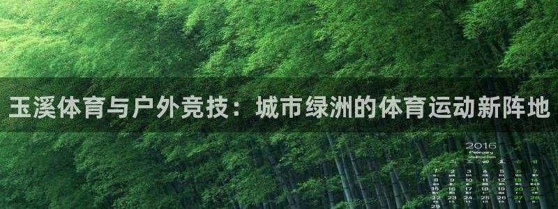 vsport体育官网下载注册：玉溪体育与户外竞技：城市绿洲的