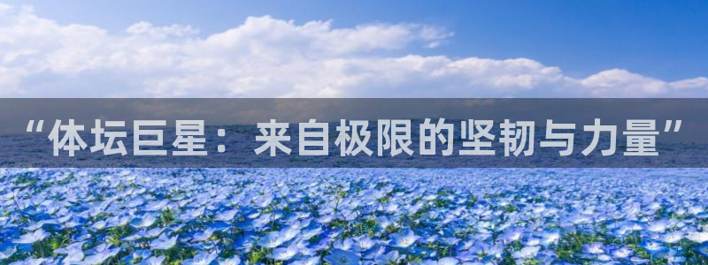 vsport体育官网下载平台注册：“体坛巨星：来自极限的坚韧