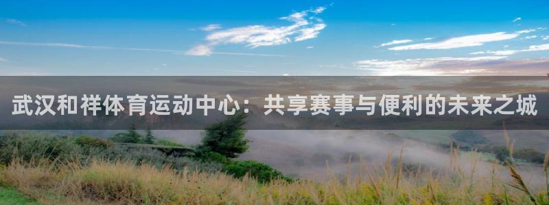 海南vsport体育官网下载：武汉和祥体育运动中心：共享赛事