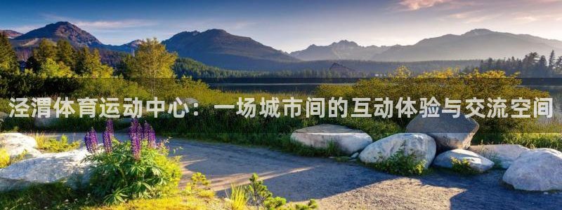 vsport体育官方平台体育：泾渭体育运动中心：一场城市间的
