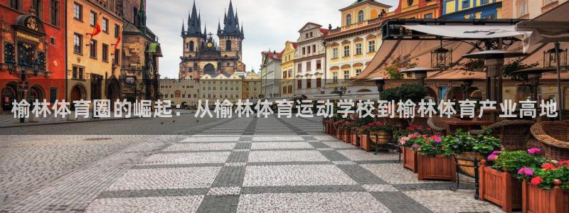 vsport体育官方正版app娱乐是那个系列的台子：榆林体育