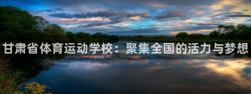vsport体育官方正版app集团官网首页：甘肃省体