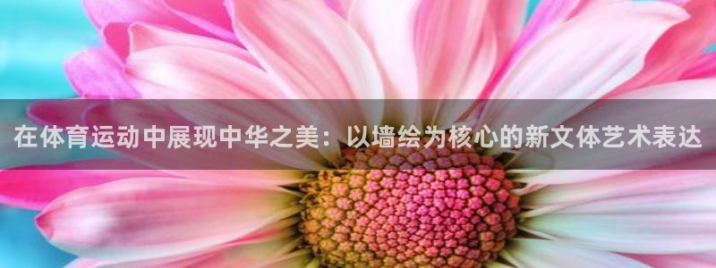 vsport体育官网下载娱乐：在体育运动中展现中华之