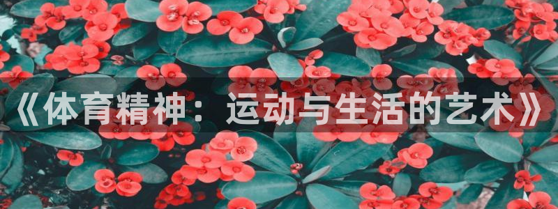 vsport体育官网下载平台是正规平台吗：《体育精神