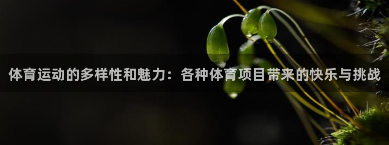 vsport体育官网下载招商电话号码查询是多少：体育