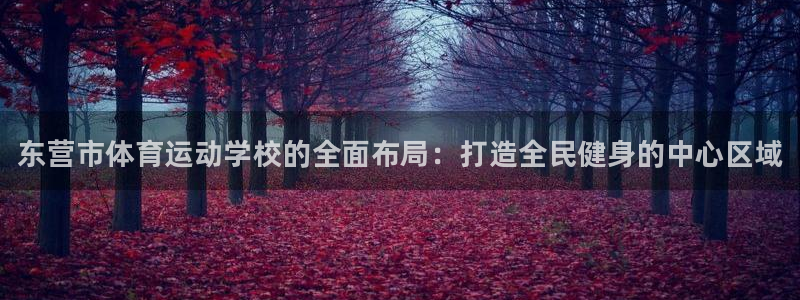 vsport体育官方正版app官方：东营市体育运动学