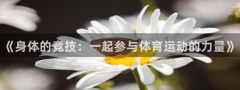 vsport体育官网下载招商电话地址是多少：《身体的