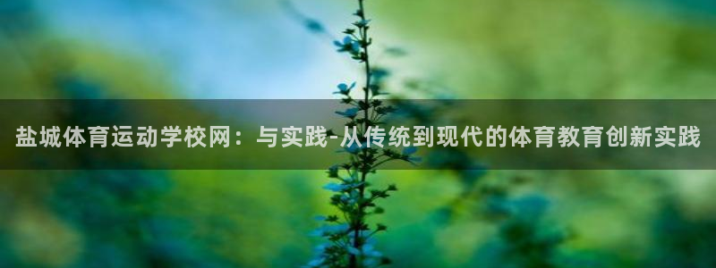 vsport体育官网下载平台是正规平台吗：盐城体育运