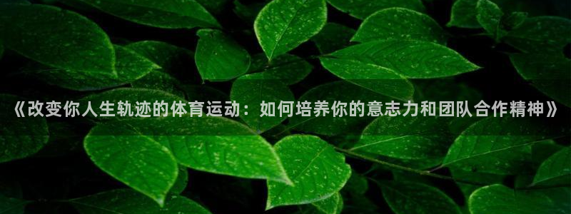 vsport体育官方正版app集团E.ON：《改变你人生轨迹