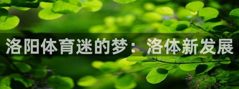 vsport体育官方正版app娱乐下载：洛阳体育迷的