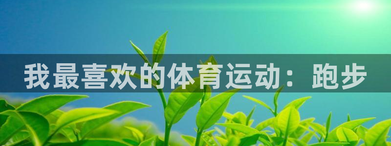 vsport体育官方正版app娱乐是那个系列的台子：