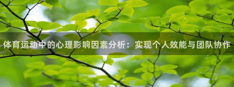vsport体育官网下载招商电话是多少：体育运动中的