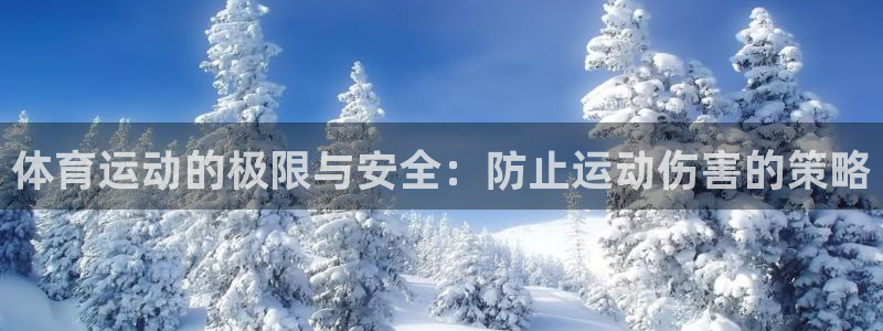 vsport体育官方正版app集团logo：体育运动