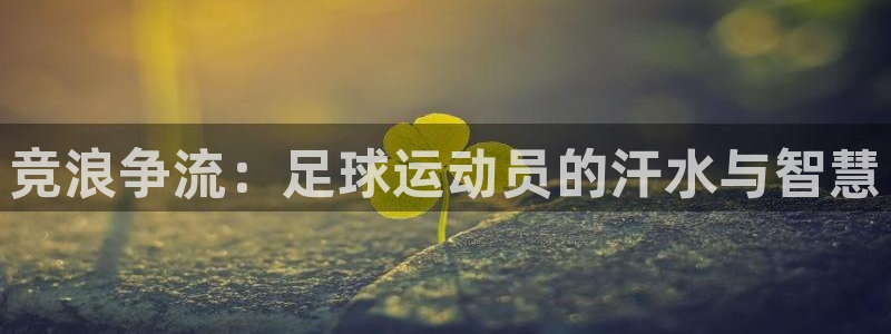 vsport体育官方正版app集团E.ON：竞浪争流