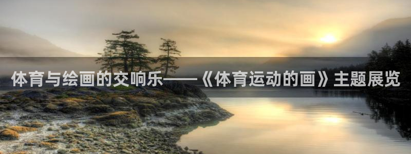 vsport体育官方正版app科技：体育与绘画的交响