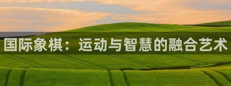 vsport体育官方正版app官网：国际象棋：运动与