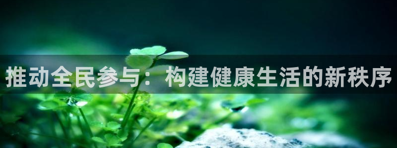 vsport体育官网下载平台注册要钱吗安全吗：推动全