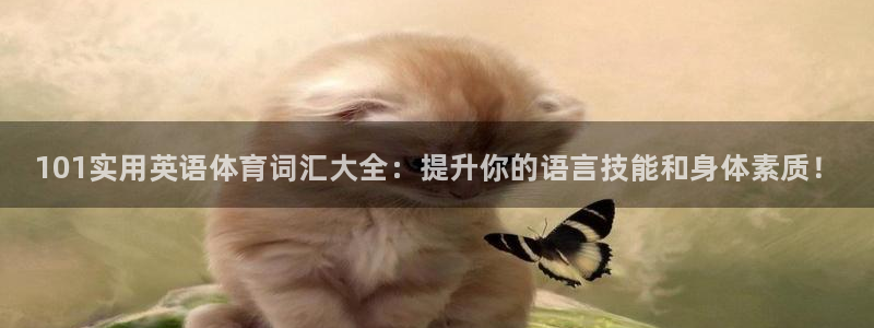 注册vsport体育官方正版app：101实用英语体