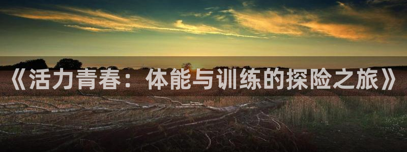 vsport体育官方正版app娱乐是那个系列的台子：《活力青