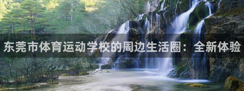 vsport体育官方正版app官方：东莞市体育运动学