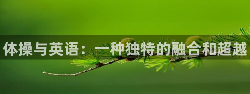 vsport体育官网下载招商电话号码查询：体操与英语：一种独