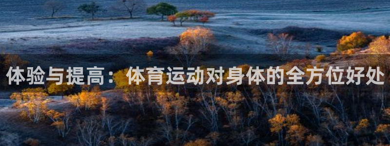 vsport体育官方正版app新能源