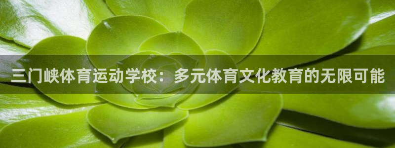 Vsport体育官网：三门峡体育运动