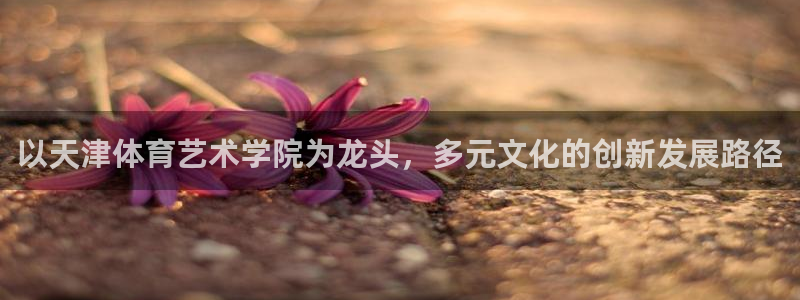  Vsport体育官网：以天津体育艺术学院为龙头，多元文化的创