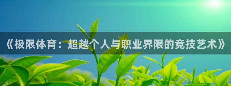 vsport体育平台app下载安装免费：《极限体育：超越个人