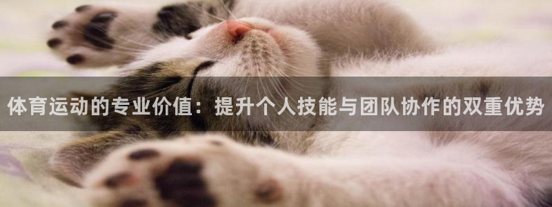 vsport体育：体育运动的专业价值：提升个人技能与团队协作