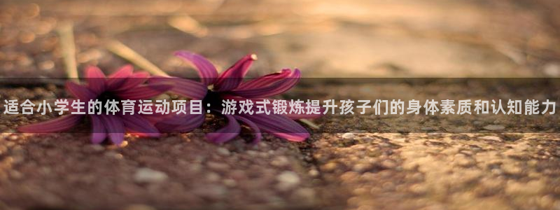 vsport体育在线官网：适合小学生的体育运动项目：游戏式锻