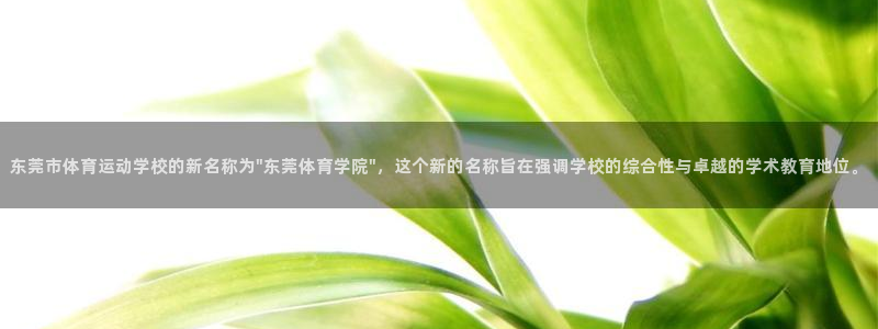 Vsport体育官方网站入口：东莞市