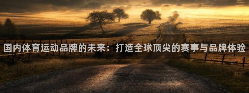 VSport体育平台-胜利因您更精彩