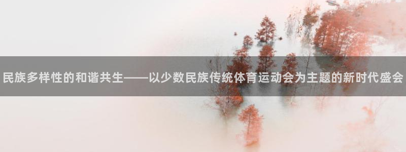 vsport体育平台：民族多样性的和