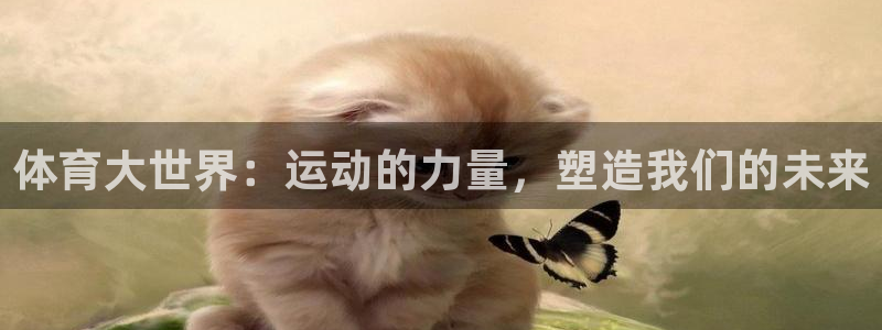 Vsport体育官方网站入口