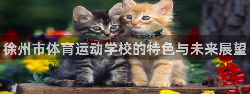 vsport体育在线官网阿根廷