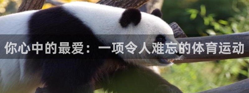 vsport体育在线官网